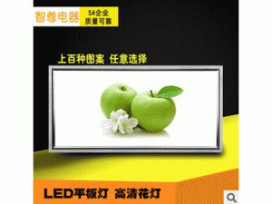 集成吊顶 超薄LED平板灯 照明灯 3D高清花灯 