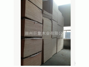 优质胶合板杨木三夹板2.5厚 包装家具
